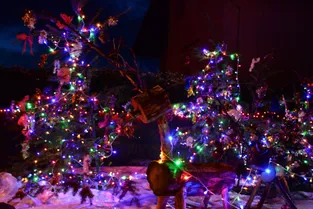 La maison d'une famille du Puy-de-Dôme s'illumine tous les ans à Noël