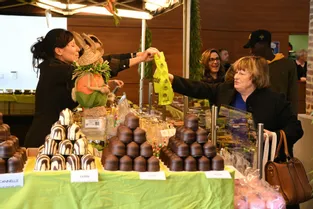 6e édition du salon dédié au chocolat à l’Espace Villars, à Moulins (Allier)