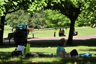 Cinq propositions pour se reposer, à l’ombre, dans le parc Bargoin de Chamalières