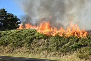 7 hectares de genêts et résineux ravagés par un incendie à Anglards-de-Saint-Flour (Cantal)