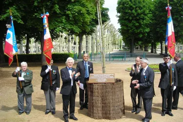 Un arbre sera planté à Vichy pour le cinquantenaire