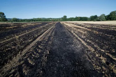 Deux hectares de céréales partent en fumée dans un champ