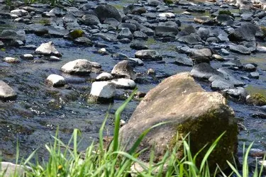Le contrat de rivière de la Couze Pavin attendu pour mai 2014