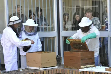Au Salon du miel et des abeilles