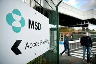 MSD annonce la prochaine vente de son site de Mirabel, à Riom (Puy-de-Dôme), au groupe pharmaceutique Fareva