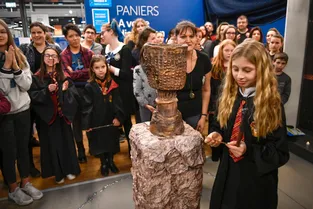 [En images] Soirée Harry Potter à Montluçon : le tournoi des Trois Sorciers s'invite au magasin Cultura