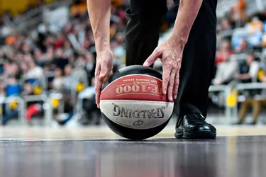 Basket : les poules des championnats nationaux sont tombées