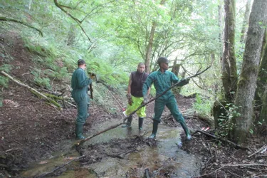 Les militaires nettoient les ruisseaux traversant le camp
