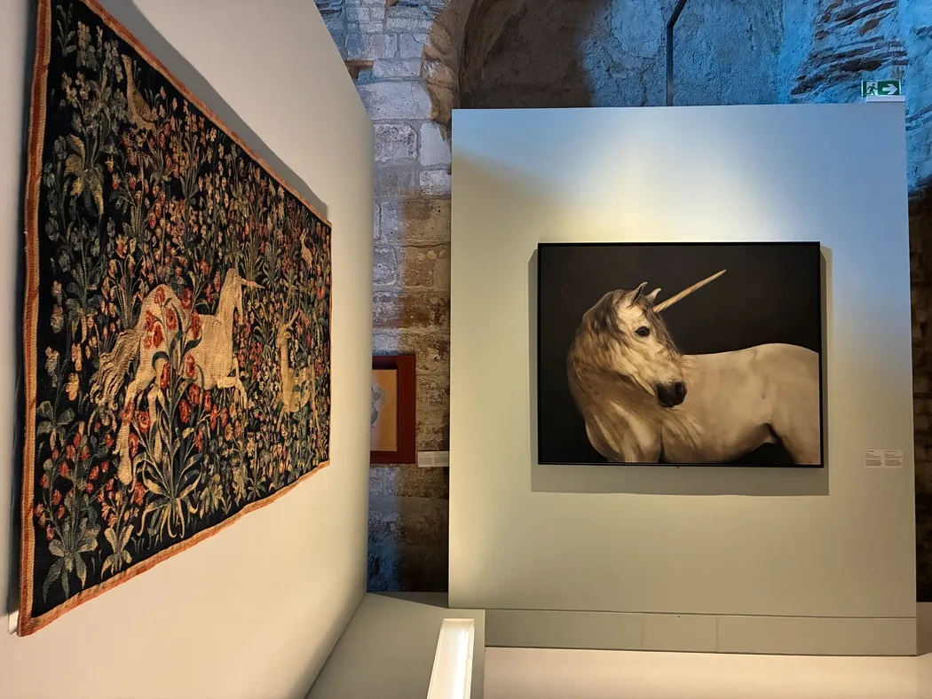 Exposition Licornes Au Mus e De Cluny Paris Les Secrets D une 