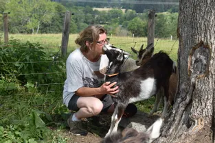 Et si vous veniez rencontrer les petites chèvres de la ferme de la mère Michel, à Saint-Pierre-la-Bourlhonne (Puy-de-Dôme)