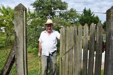A Issoire, André cultive son jardin avec passion depuis 40 ans