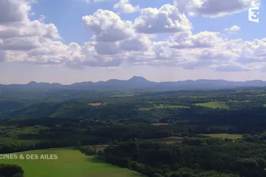 "Des Racines et des Ailes" sur l'Auvergne rassemble 2,7 millions de téléspectateurs