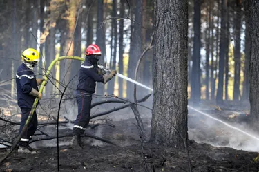 Un incendie ravage 20 hectares à Saint-Gérand-de-Vaux (Allier)