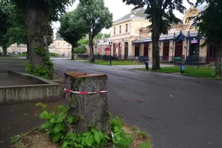 Pourquoi soixante-huit arbres sont-ils abattus actuellement à Néris-les-Bains (Allier) ?