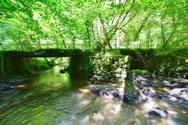 En pleine forêt à Lagraulière (Corrèze), le pont des amoureux, bâti au 18e siècle, reste méconnu