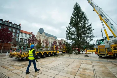 Un gigantesque sapin de Noël sera installé le 14 novembre sur la place de Jaude à Clermont-Ferrand