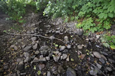 Sécheresse : les restrictions d'eau renforcées dans le Cantal