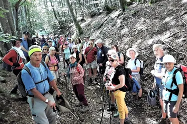Trente-six randonneurs sur les chemins des monts de la Madeleine