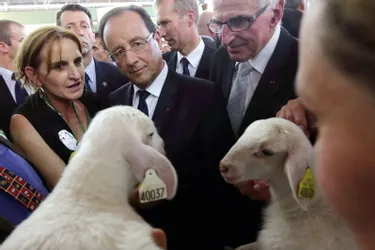 François Hollande détaille ses mesures pour les éleveurs