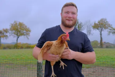 Comment cet éleveur a sauvé 1.000 poules de l’abattoir à Nizerolles (Allier)