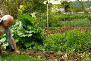 Jardiner à Brioude : Quatre ateliers de trois heures pour les débutants entre théorie et pratique