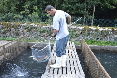 La Pisciculture des eaux de Vourzac produit, chaque année, 35.000 tonnes de poissons