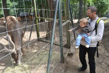 Le parc animalier d'Ardes-sur-Couze a déjà franchi la barre des 50.000 visiteurs