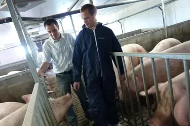 A Badailhac, Benoît Julhes a créé son propre atelier de production porcine dans un contexte difficile