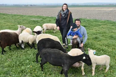Une cagnotte en ligne pour créer La bergerie de Léo à Bas-et-Lezat (Puy-de-Dôme)