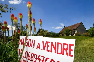 Après le déconfinement, le Livradois-Forez (Puy-de-Dôme) connaîtrait-il un boom immobilier ?