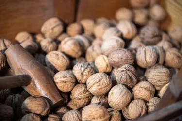 Les producteurs en colère distribuent des noix aux Tullistes ce lundi 20 mars