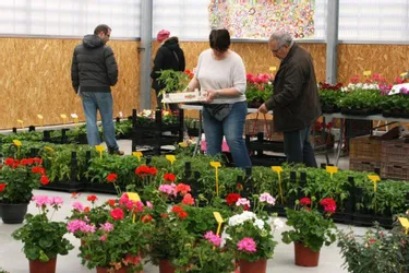 La 7e fête des Jardins et de la nature plante son décor à la Halle du marché