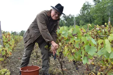 Robert Piedpremier, cinquième génération de viticulteurs amateurs à Malauzat (Puy-de-Dôme)