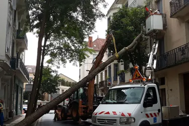 Un arbre s'effondre brutalement sur une maison en plein centre-ville de Vichy