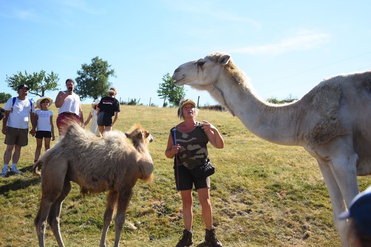 Nos 5 idées de sortie à faire ce mercredi 23 août dans le Cantal - La ...