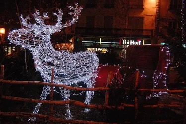 Des myriades de lumières scintillantes ont envahi la cité Saint-Gal pour les fêtes de fin d’année