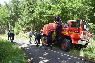 Haute-Loire : les sapeurs-pompiers de Brioude, Auzon, Blesle et Paulhaguet en exercice feu de forêt