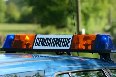 Une patrouille de gendarmerie découvre à Meymac (Corrèze) des chiens maltraités