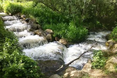 Le parcours sinueux d’une petite rivière de 30 kilomètres à travers Beaumont
