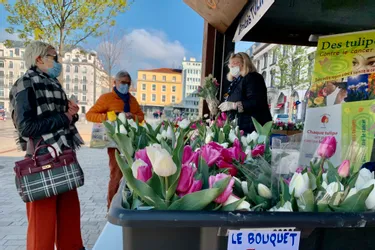 Tulipes contre le cancer dans le Puy-de-Dôme : l'opération se poursuit malgré le confinement
