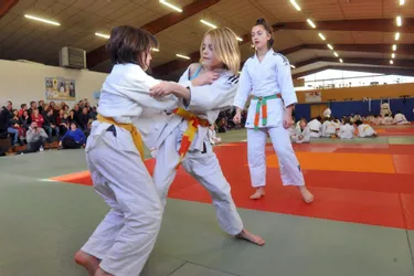 300 judokas réunis au dojo de Brive