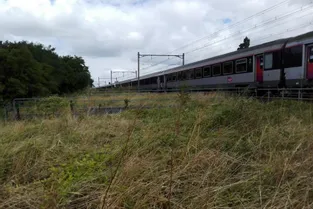 Un train reliant Brive à Paris arrêté une heure à Orléans suite à un incident