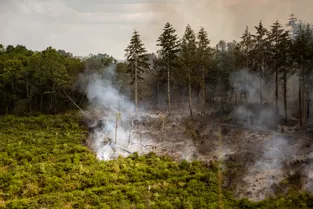 L'incendie qui a frappé une forêt de sapins dans les côtes de Chatelard (Allier) maîtrisé