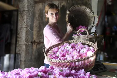 L'ex-cadre parisienne s'est reconvertie dans la rose à parfum et la cosmétique, dans un village du Loiret