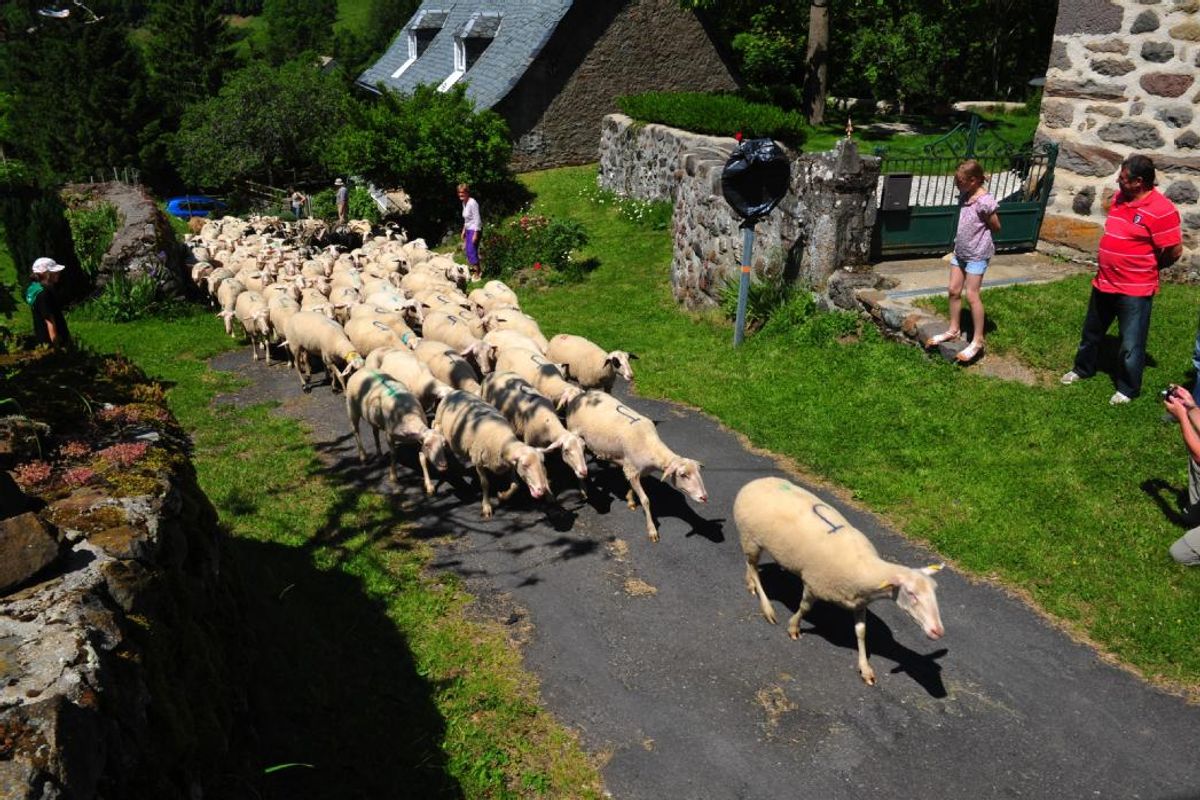 Sortir Dans Le Cantal Ce Week End