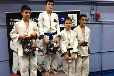 Quatre fois trois judokas à Troyes