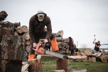 Restos du cœur de Montluçon (Allier) : un chantier d'insertion pour fournir du bois de chauffage à ceux qui en ont besoin