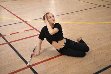 Montagnes enneigées avec de grosses flocons tombant du ciel.