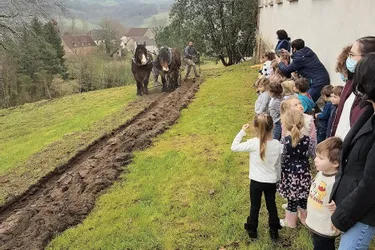 Les enfants jardinent depuis la crise du Covid-19