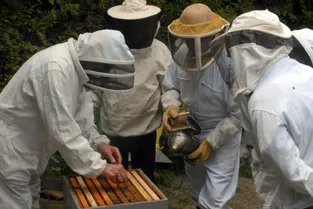 L’association forme les apiculteurs en place ou en devenir